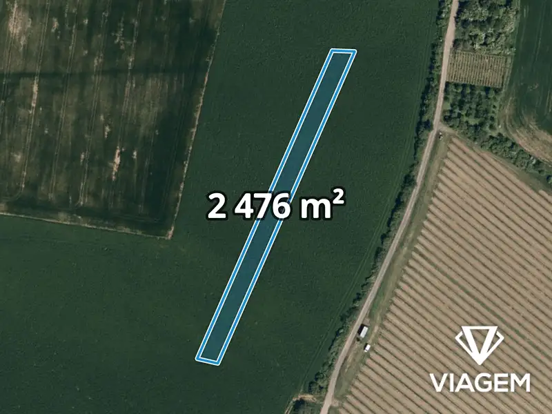Prodej pole 2476 m², Tučapy – náhled fotky 1