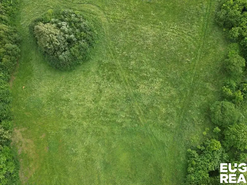 Prodej louky 7471 m², Zákupy – náhled fotky 3
