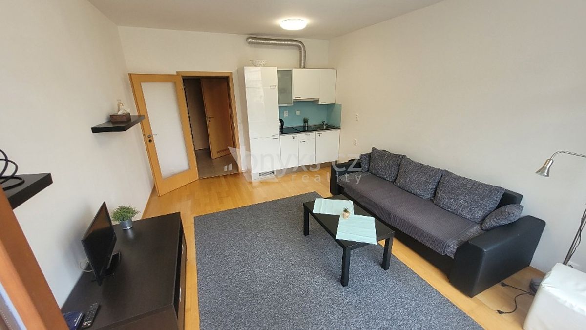 Pronájem bytu 1+kk 30 m² – fotografie 2