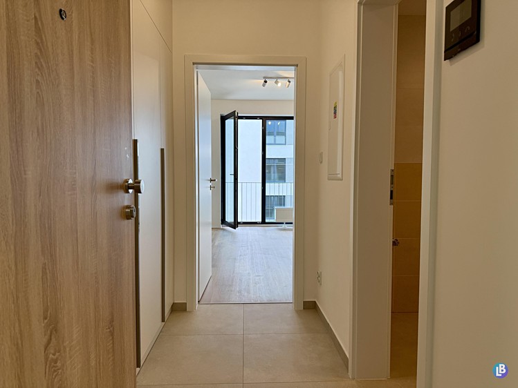Pronájem bytu 1+kk, 35 m² (3 z 15)