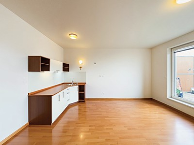 Wohnung 2+kk zur Miete, 48 m² (2 von 23)