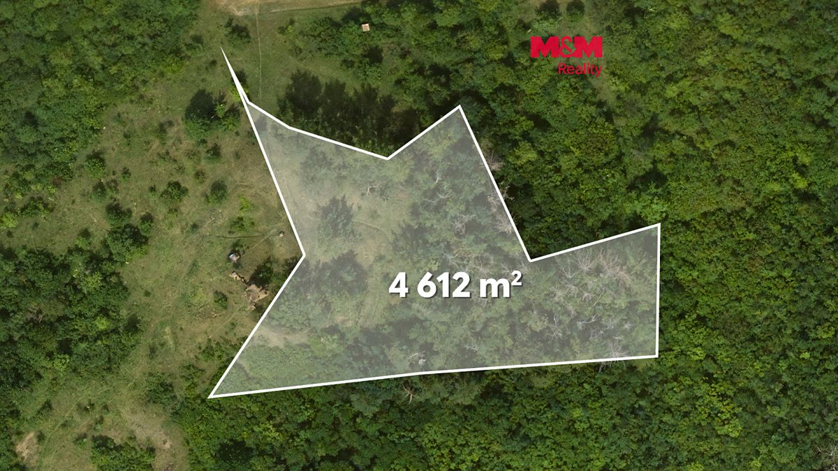 Prodej lesa 8199 m², Libochovice – fotka 1 z 3