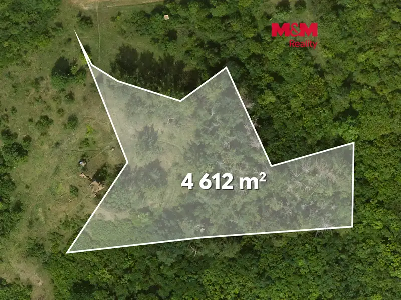 Prodej lesa 8199 m², Libochovice – náhled fotky 1