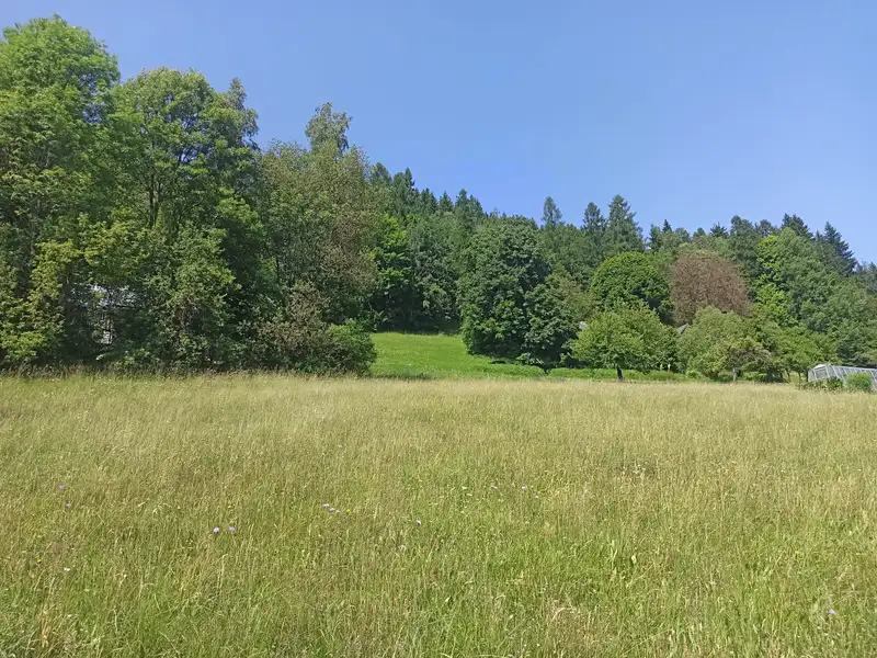 Prodej stavebního pozemku 3018 m², Jablonec nad Jizerou – náhled fotky 3