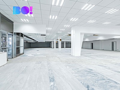 Gewerbefläche zur Miete, 890 m² (3 von 15)