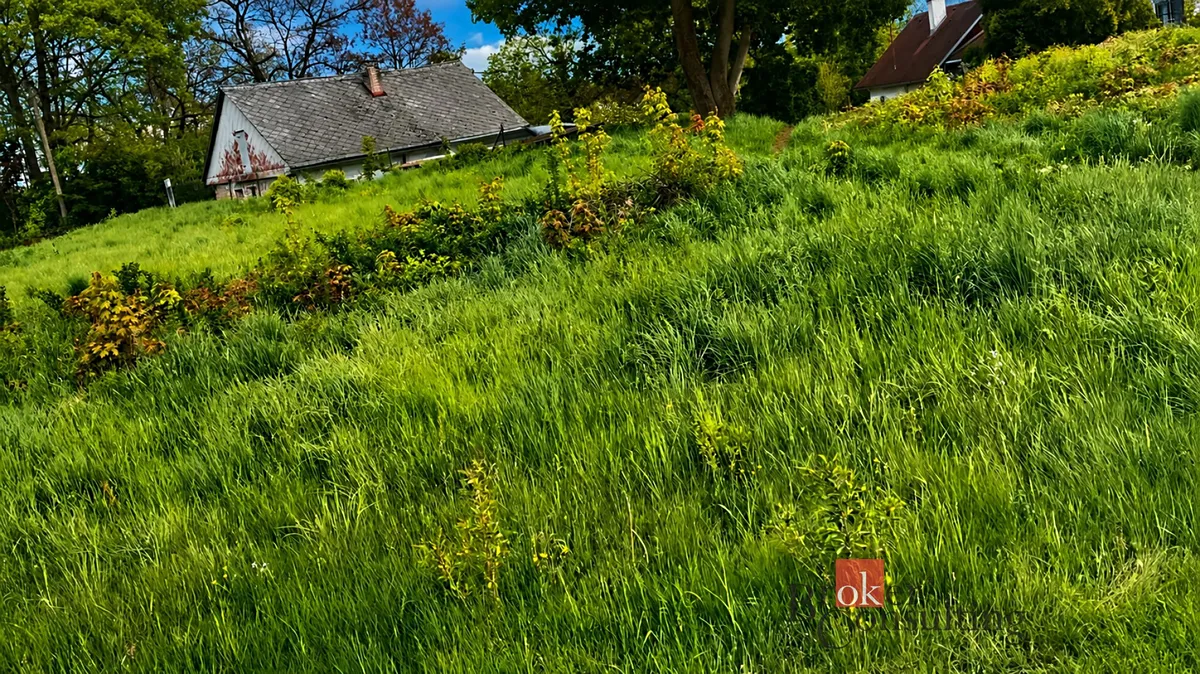 Fotka 5 z 18