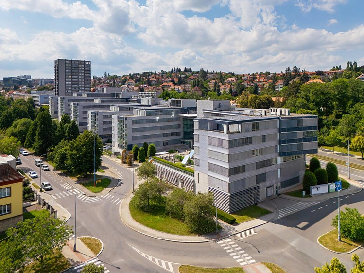 Pronájem komerčního prostoru, 477 m² (14 z 20)