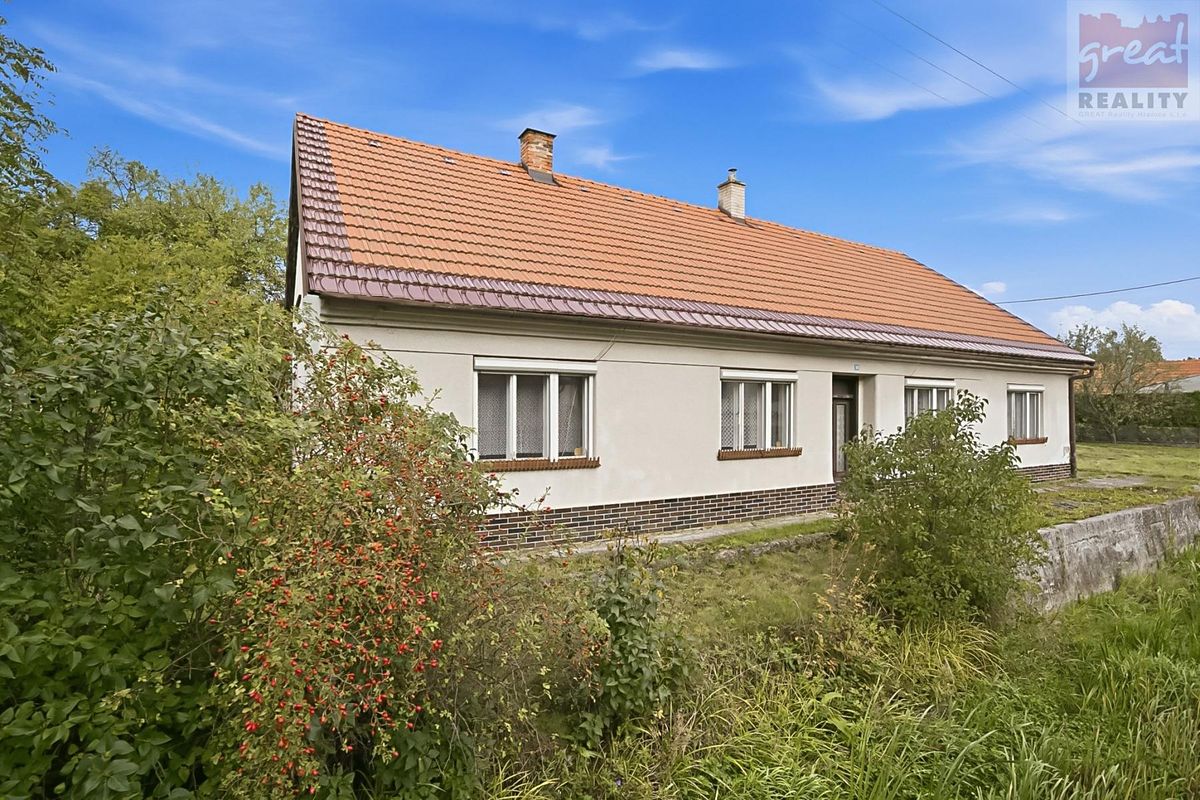 Prodej rodinného domu 266 m², pozemek 1195 m², Opatovice – fotka 1 z 3