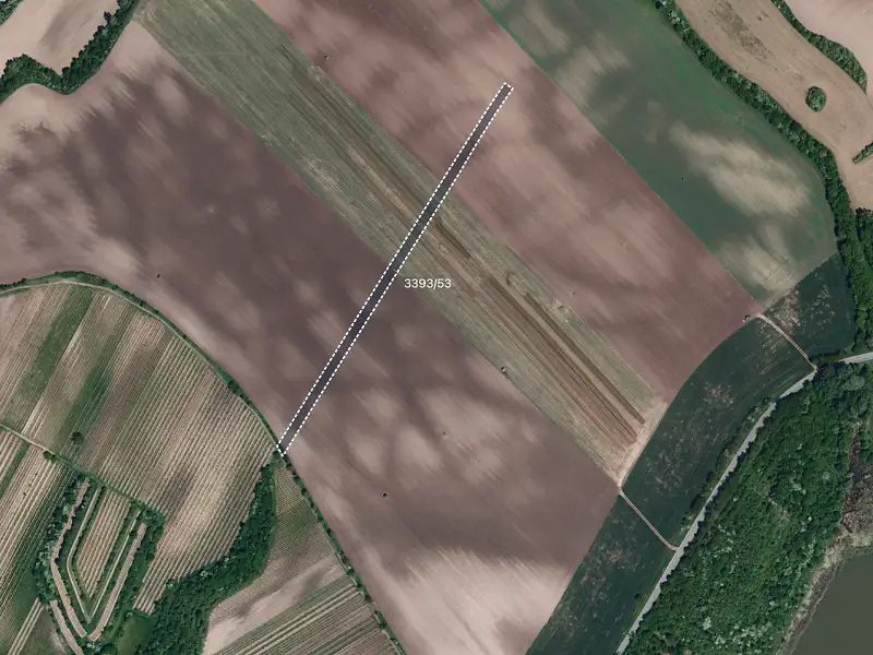 Prodej pole 14563 m², Čejkovice – náhled fotky 1