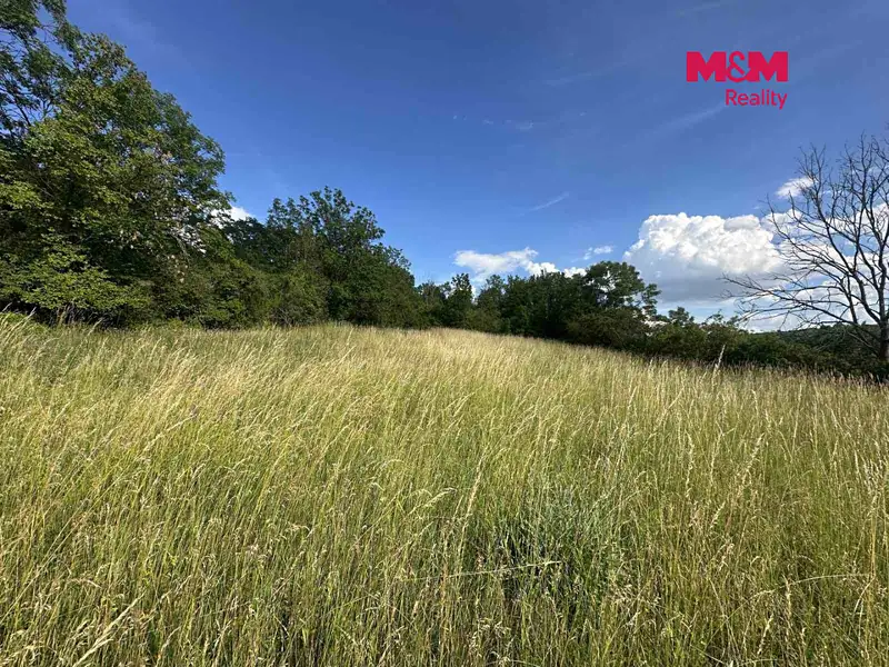 Prodej zahrady 625 m², Bechlín – náhled fotky 3