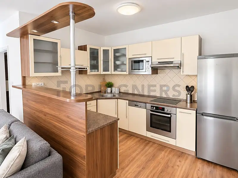 Pronájem bytu 2+kk 66 m², Plzeň – náhled fotky 2