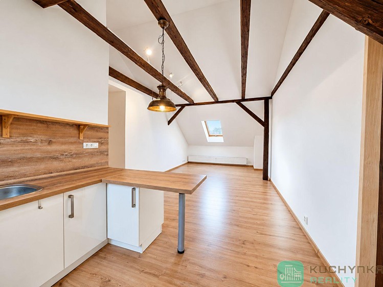 Pronájem bytu 1+kk, 47 m² (8 z 11)