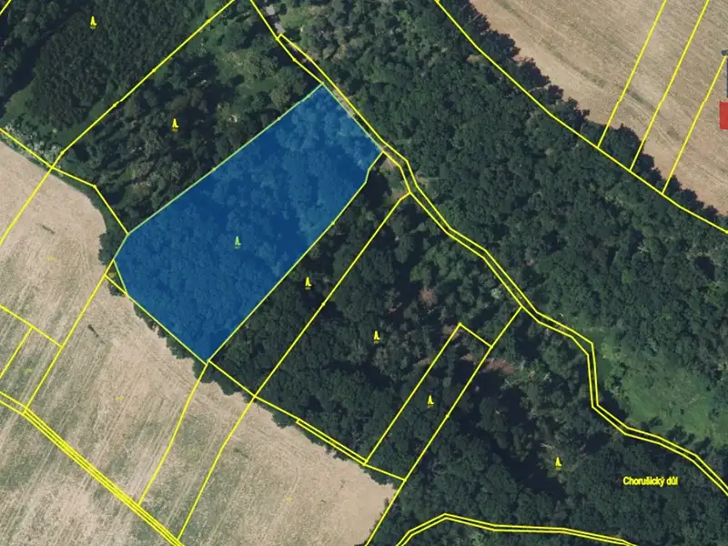 Prodej lesa 58553 m², Chorušice – náhled fotky 3