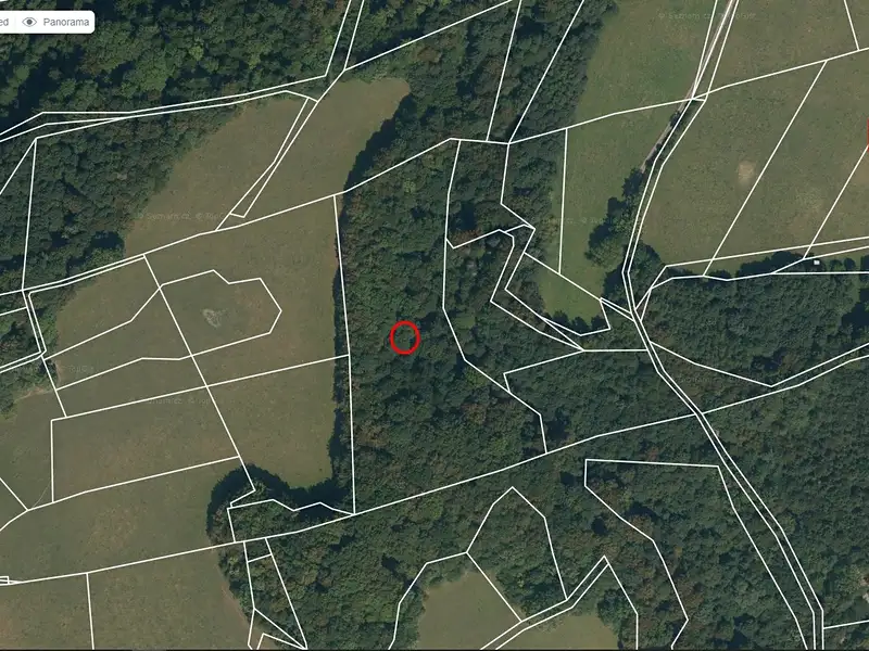 Prodej lesa 12739 m², Životice u Nového Jičína – náhled fotky 3