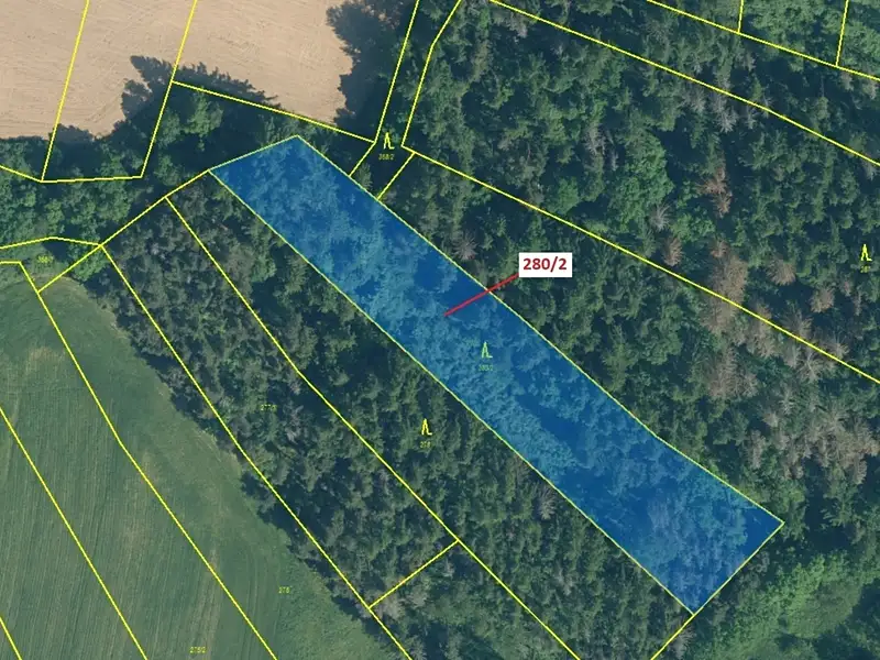 Dražba lesa 4872 m², Kovčín – náhled fotky 2