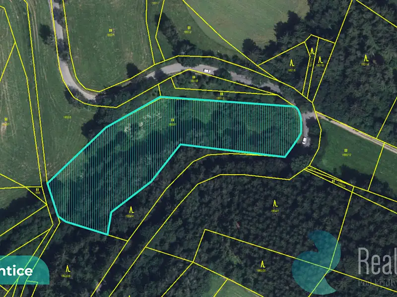 Prodej louky 6838 m², Výprachtice – náhled fotky 2