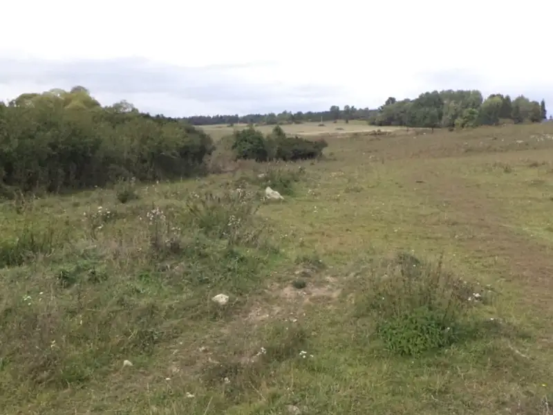 Dražba pole 3504 m², Tachov – náhled fotky 3