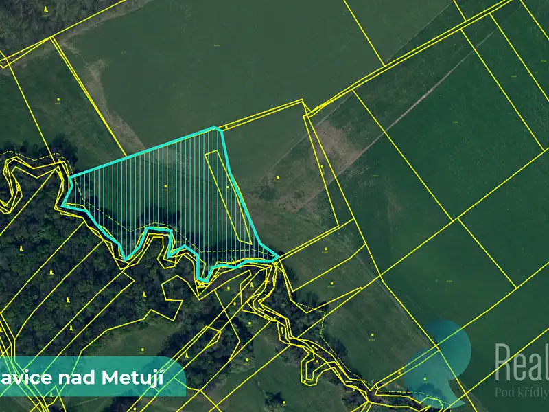 Prodej pole 43749 m², Bohuslavice – náhled fotky 2