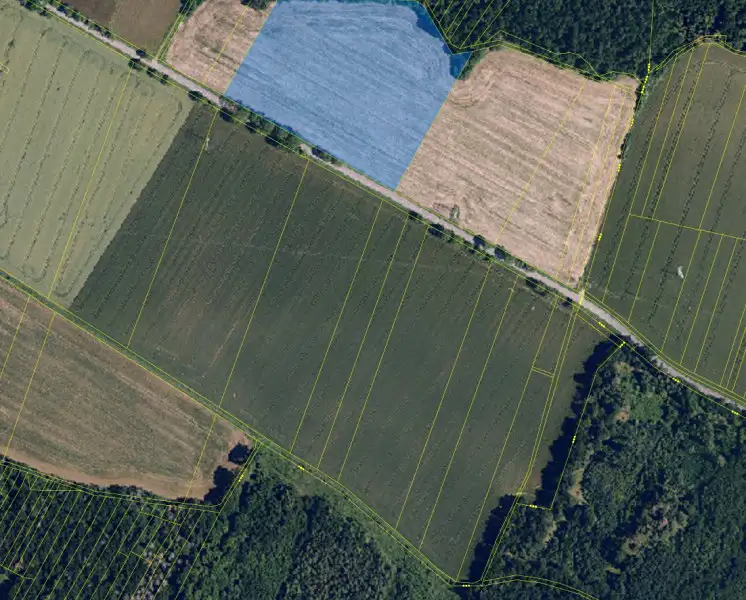 Prodej pole 39475 m², Senorady – náhled fotky 2