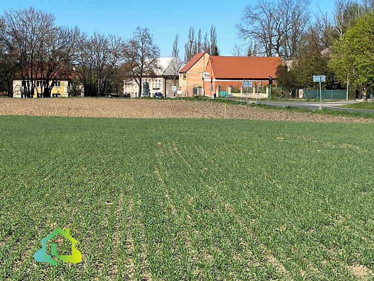 Ділянка на продаж, 1 000 м² (1 з 9)