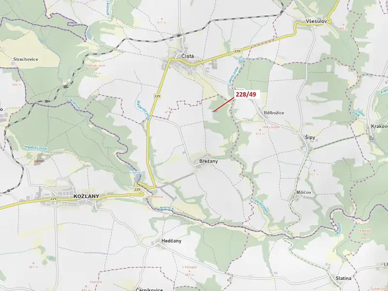 Dražba lesa 2070 m², Břežany – náhled fotky 1