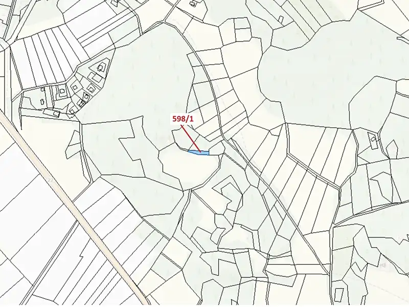 Dražba louky 272 m², Zavlekov – náhled fotky 3