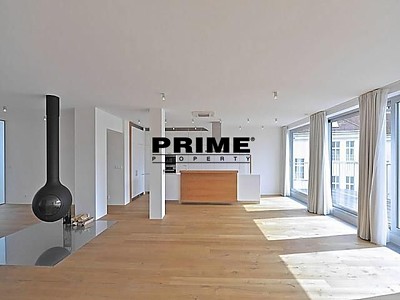 Wohnung 4+kk zur Miete, 200 m² (2 von 31)