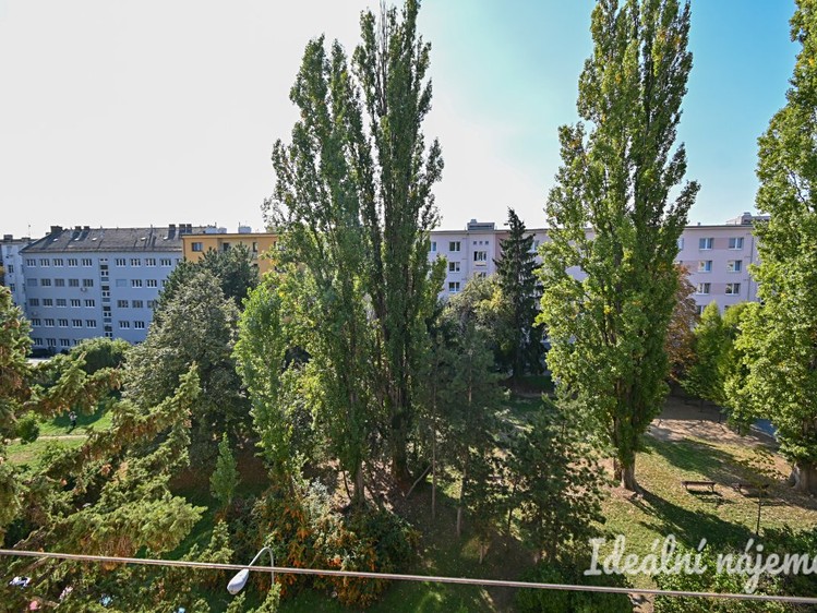 Ostatní