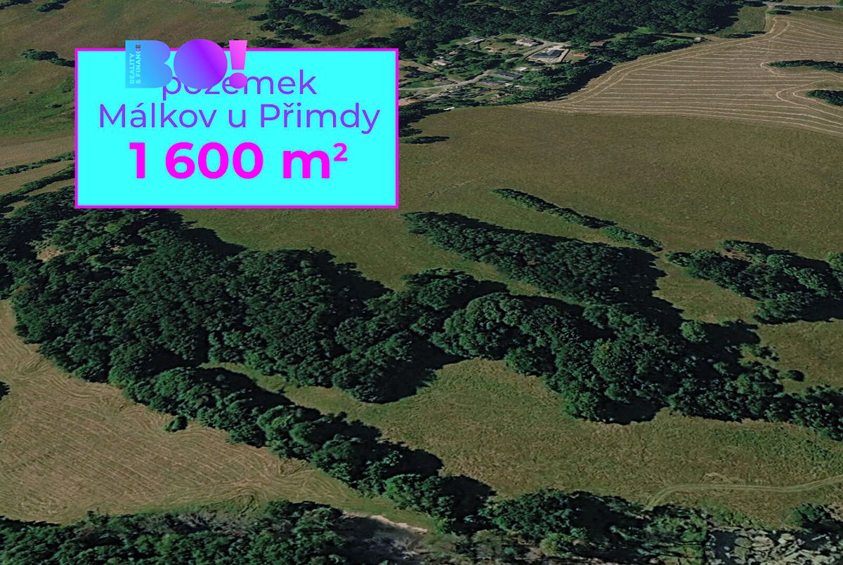 Prodej pole 1600 m², Přimda – fotka 1 z 3