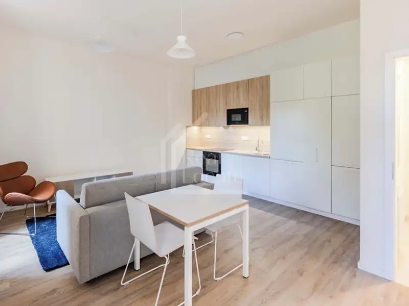 Pronájem bytu 1+kk 37 m², Praha – náhled fotky 2