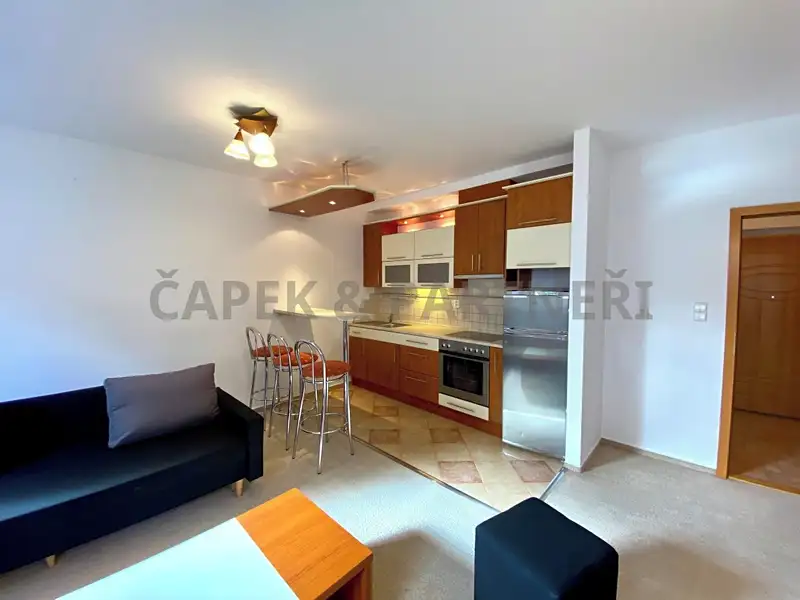 Pronájem bytu 1+kk 35 m², Praha – náhled fotky 1