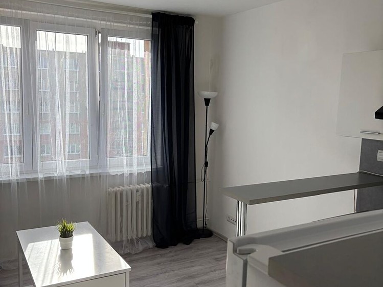 Квартира 1+kk в оренду, 19 м² (11 з 18)