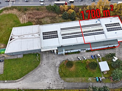 Комерційне приміщення в оренду, 1 700 м² (3 з 11)