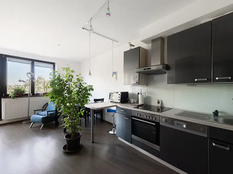 Prodej bytu 2+kk 54 m², Praha – náhled fotky 2