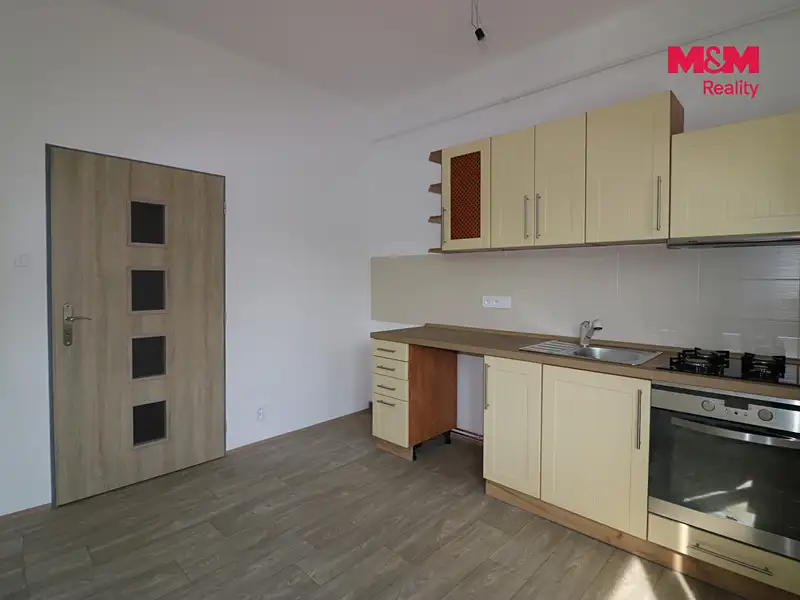 Pronájem bytu 1+1 47 m², Velké Březno – náhled fotky 2