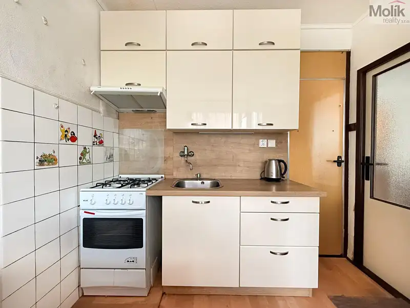 Pronájem bytu 3+1 54 m², Teplice – náhled fotky 2