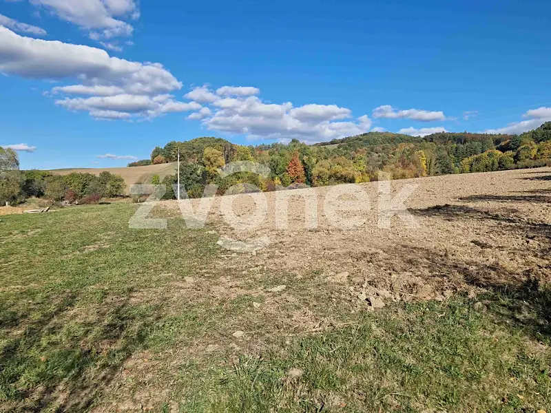 Prodej stavebního pozemku 2007 m², Pitín – náhled fotky 2