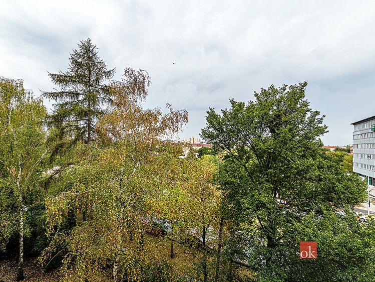 Prodej bytu 2+1, 49 m² (25 z 33)