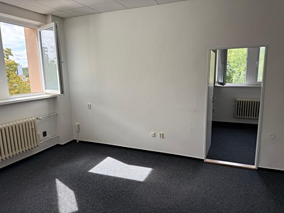 Gewerbefläche zur Miete, 46 m² (2 von 7)