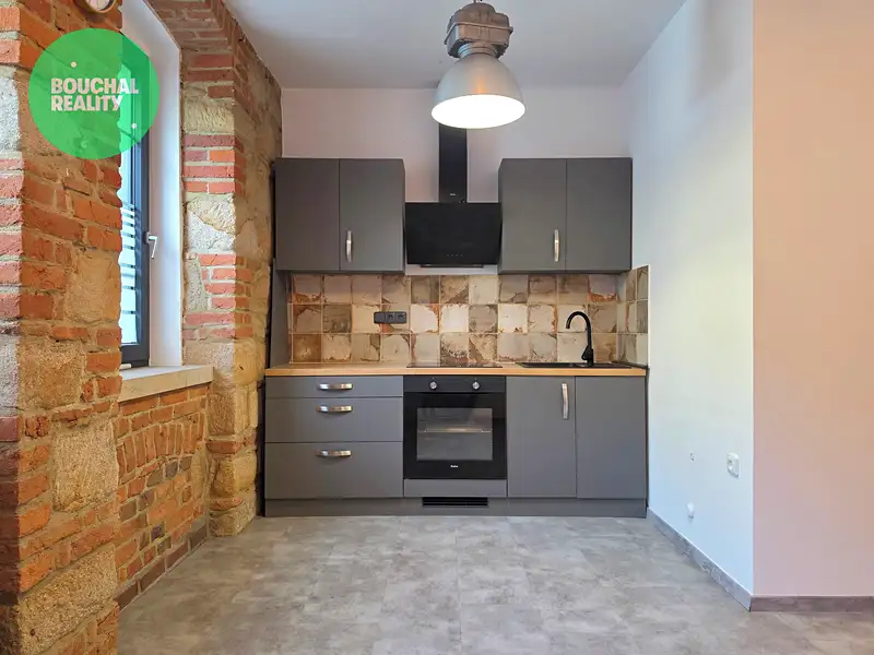 Pronájem bytu 1+1 40 m², Plzeň – náhled fotky 1