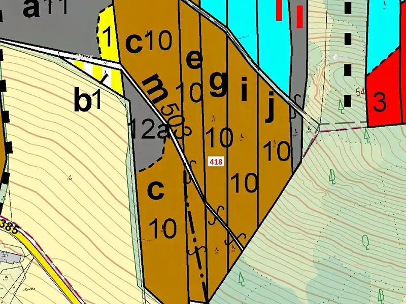 Dražba lesa 4422 m², Záhoří – náhled fotky 3