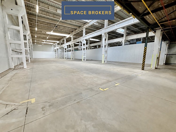 Комерційне приміщення в оренду, 3 294 м² (3 з 5)