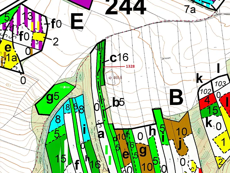 Dražba lesa 662 m², Vladislav – náhled fotky 3