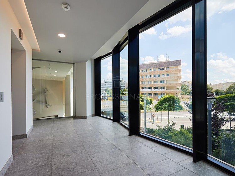 Pronájem komerčního prostoru, 195 m² (5 z 6)