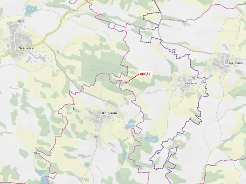 Dražba lesa 1583 m², Velký Bor – náhled fotky 1