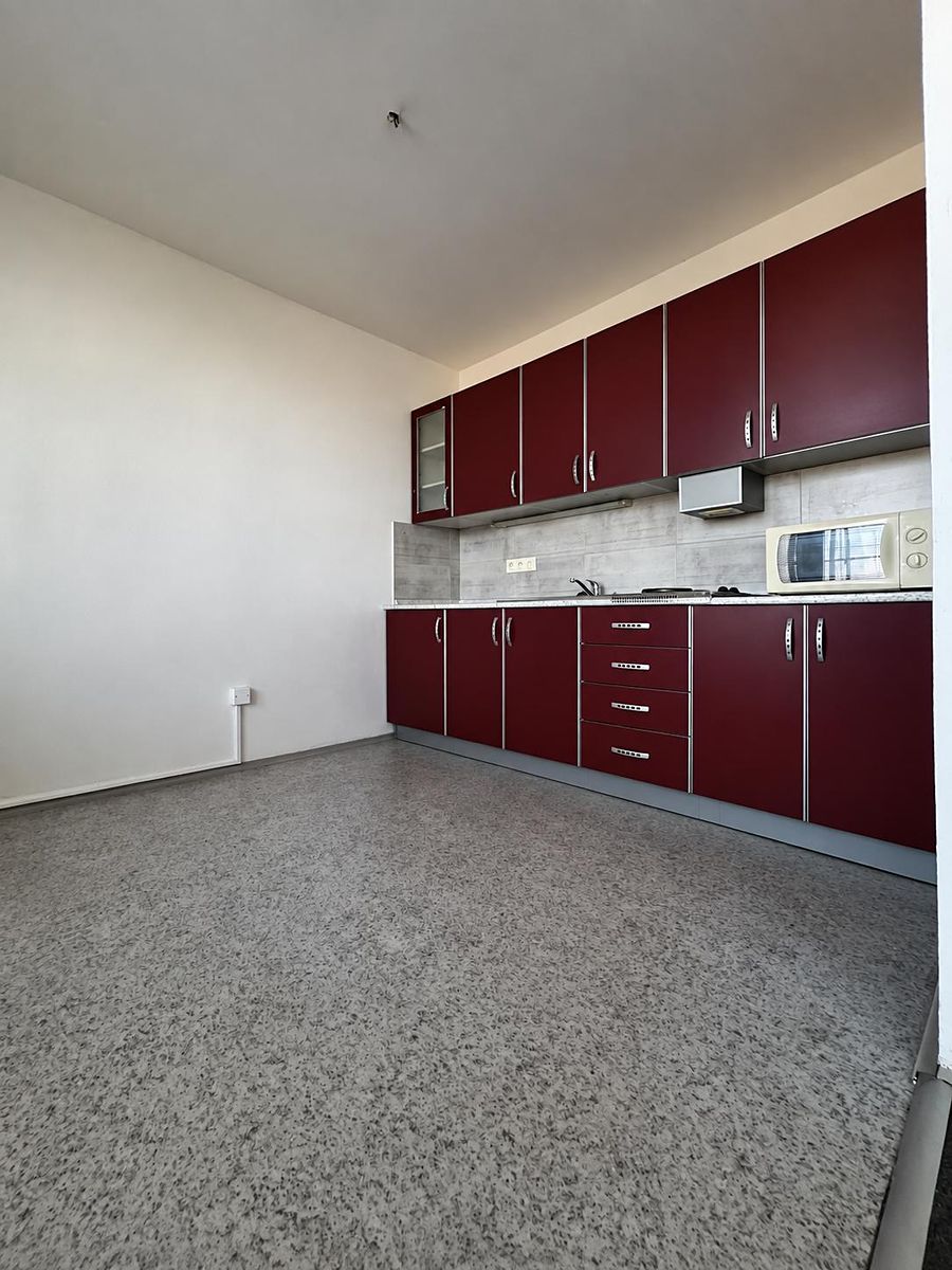 Pronájem bytu 1+1 43 m²