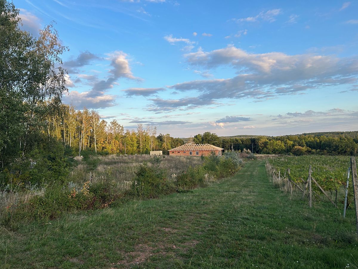 Prodej stavebního pozemku 900 m², Most – fotka 1 z 3