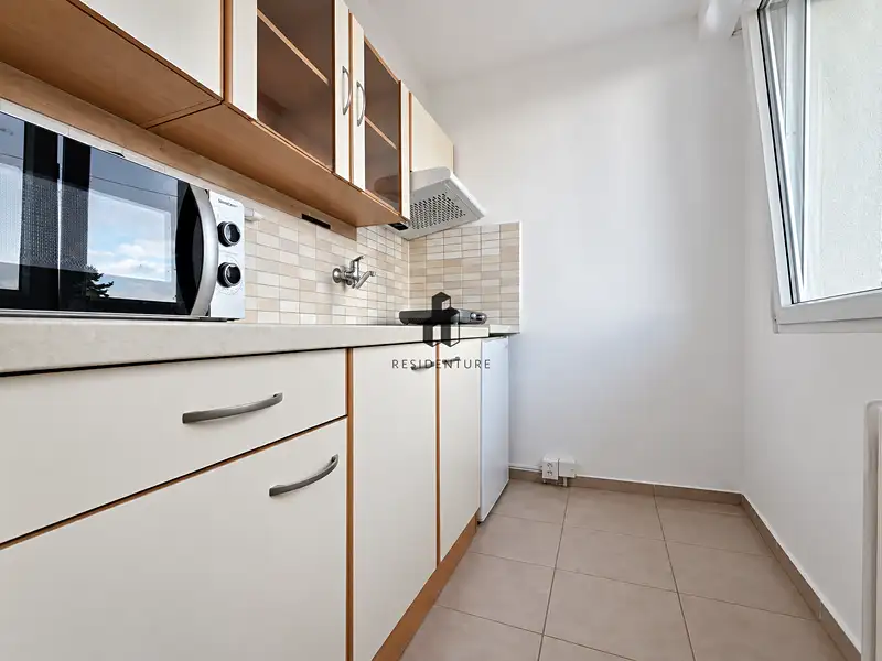 Pronájem bytu 1+kk 32 m², Praha – náhled fotky 2