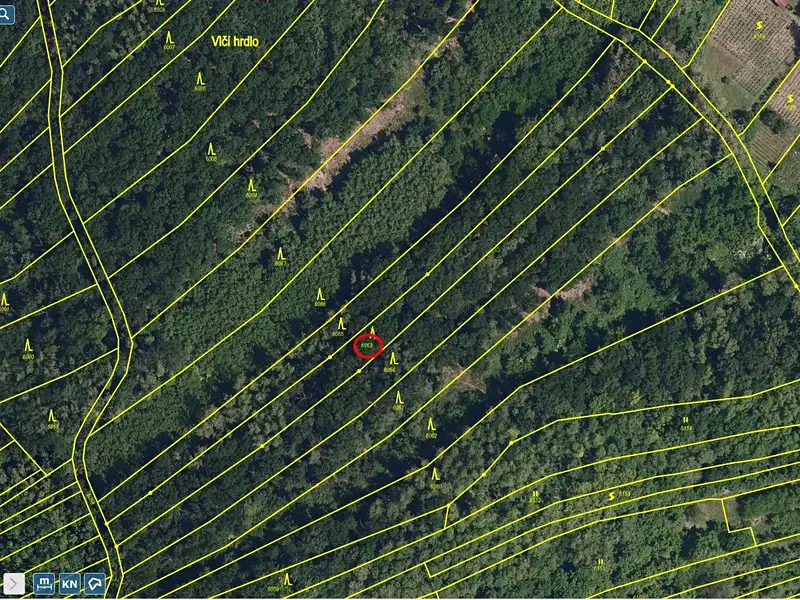 Prodej lesa 2800 m², Kobylí – náhled fotky 2
