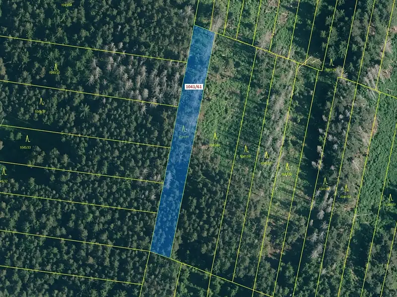 Dražba lesa 2039 m², Prachatice – náhled fotky 2